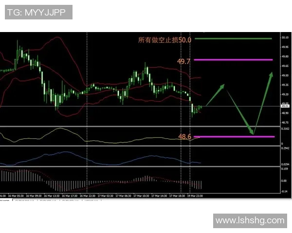 奥地利与德国精彩对决直播全程回顾与分析
